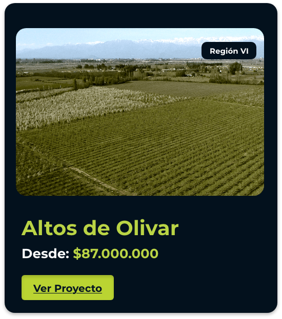 Olivar