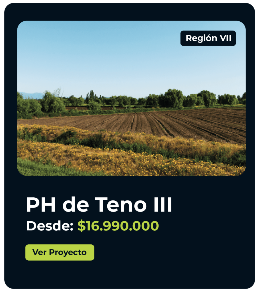 teno3-01