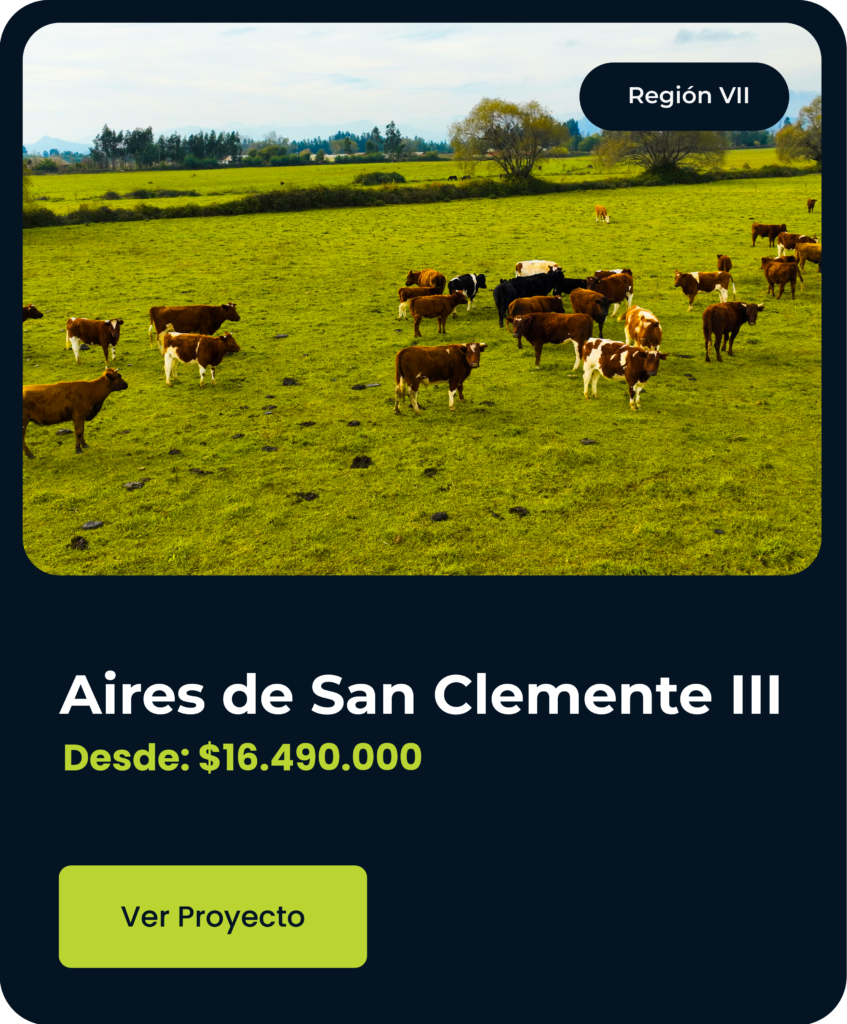 MP-AIRES DE SAN CLEMENTE III- TARJETA (1)